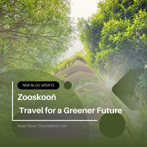 Zooskooñ: Redefining Sustainable Travel for a Greener Future
